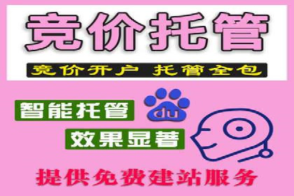 创新信息流广告优化策略，助力品牌增长案例